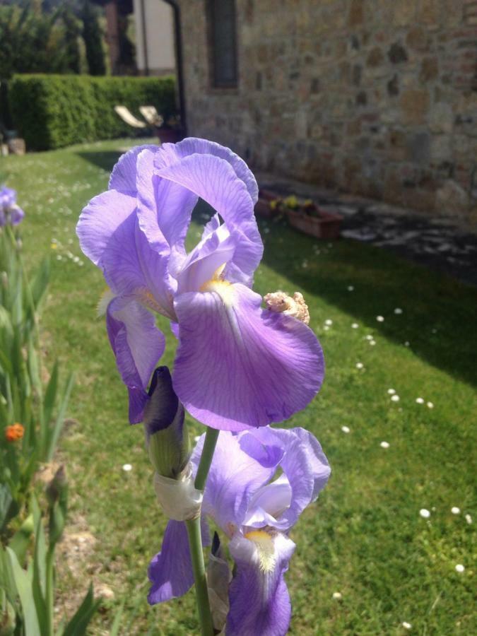 Borgo Del Molinello Villa Sant'Albino Exteriör bild